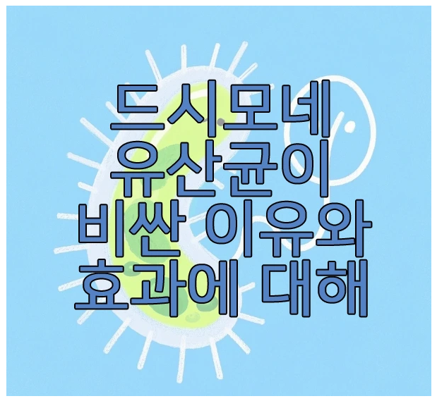 드시모네 유산균에 관한 글 보러 가기 링크 사진