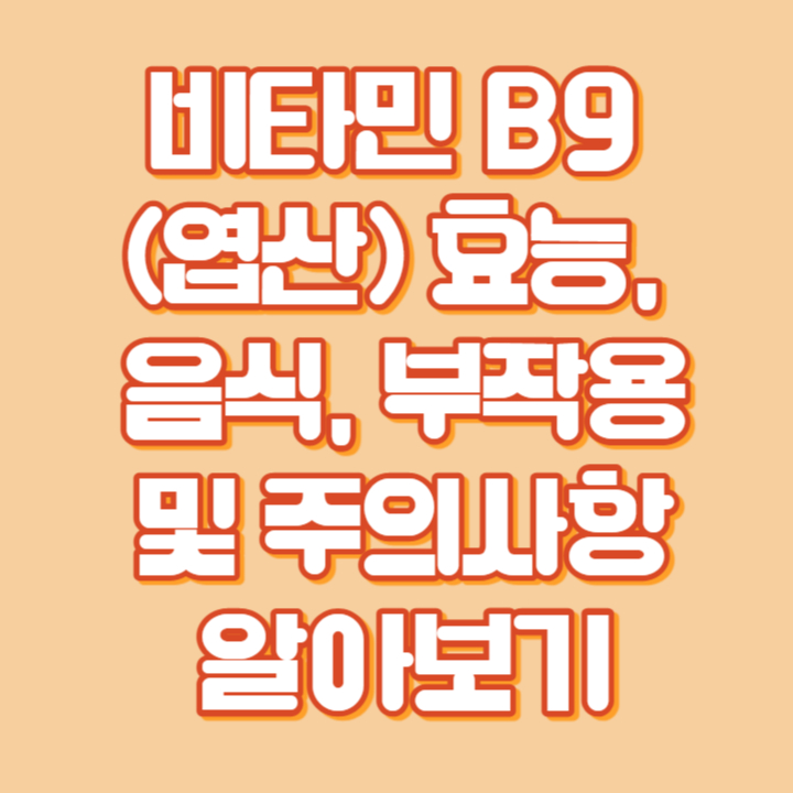 비타민 B9(엽산) 효능, 음식, 부작용 및 주의사항
