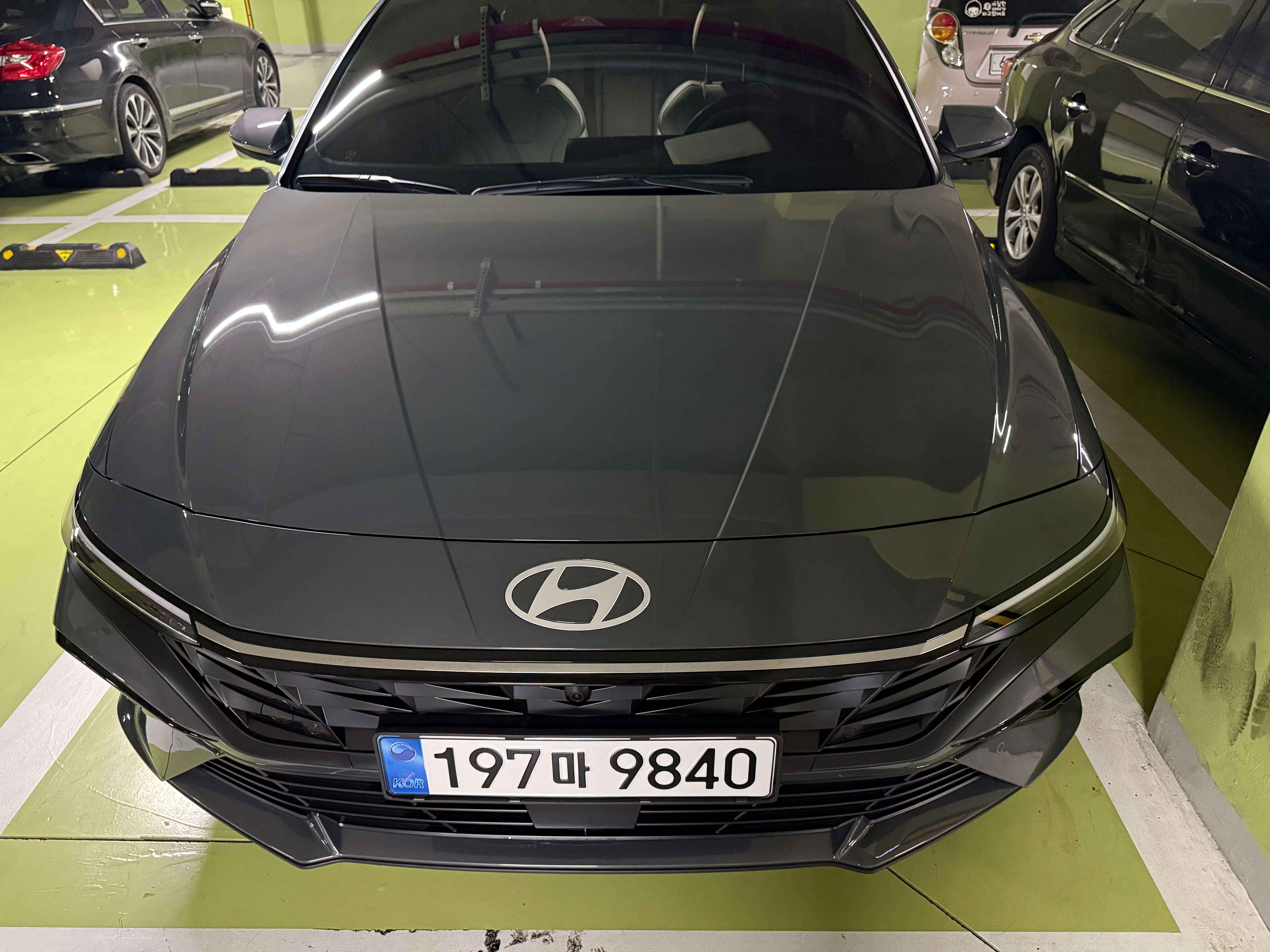 에코트로닉 그레이펄