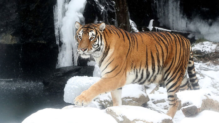 오늘의-운세-2023년-12월-25일-오늘의-띠별-운세