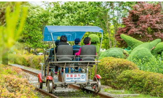 곡성 세계장미축제 개화상황