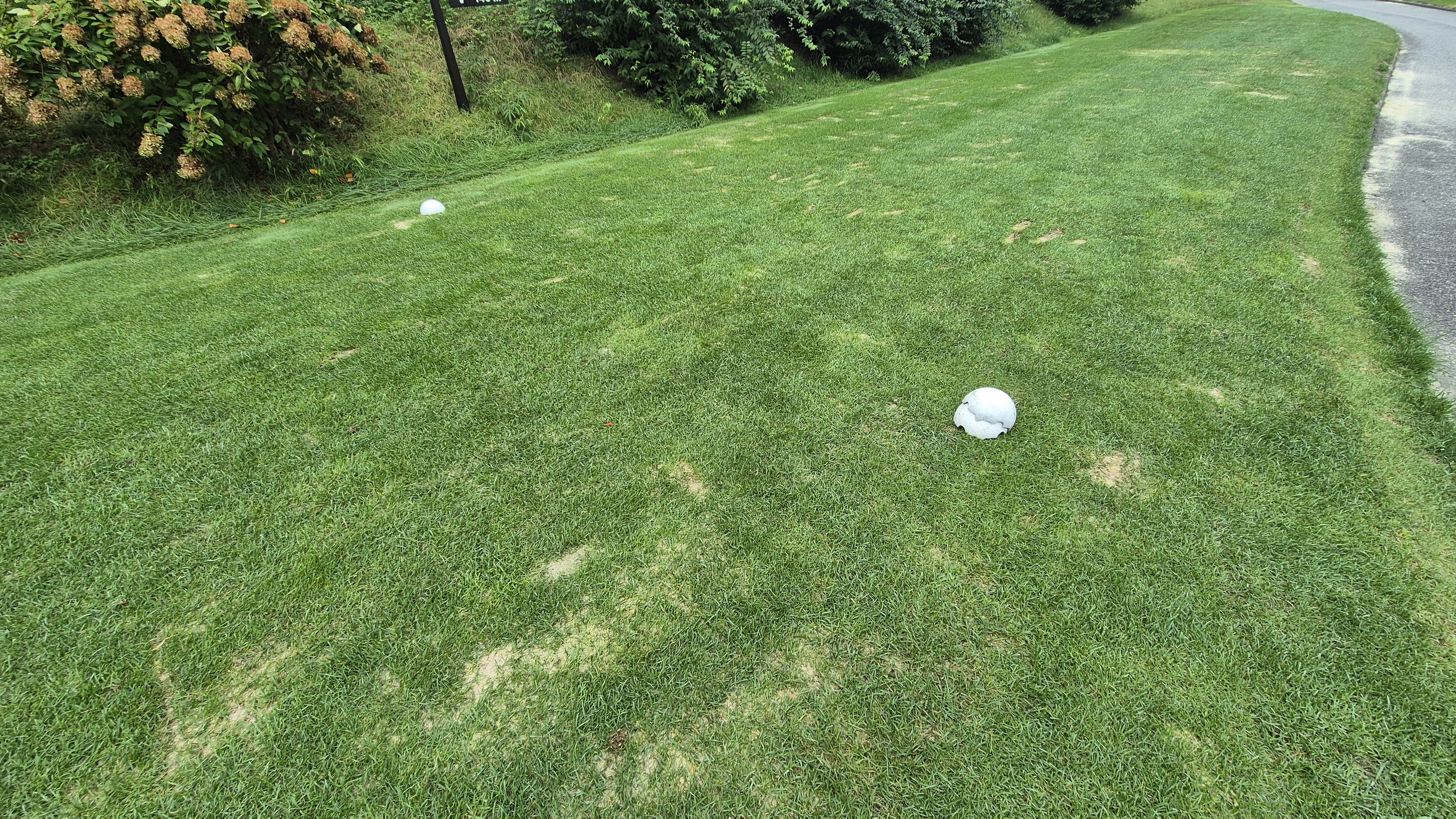 서산수cc 티잉구역 상태