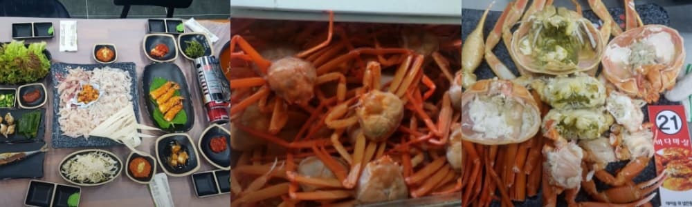 생생정보통 오늘방송(3월 5일) 맛집 바다마실,울진 왕피천 케이블카,울진왕피천공원,울진왕피천공원동물농장,울진금강송군락지