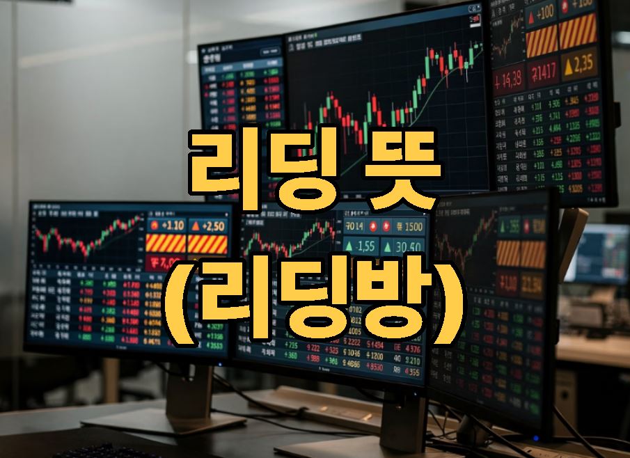 리딩 뜻 (리딩방 뜻) 알아보기