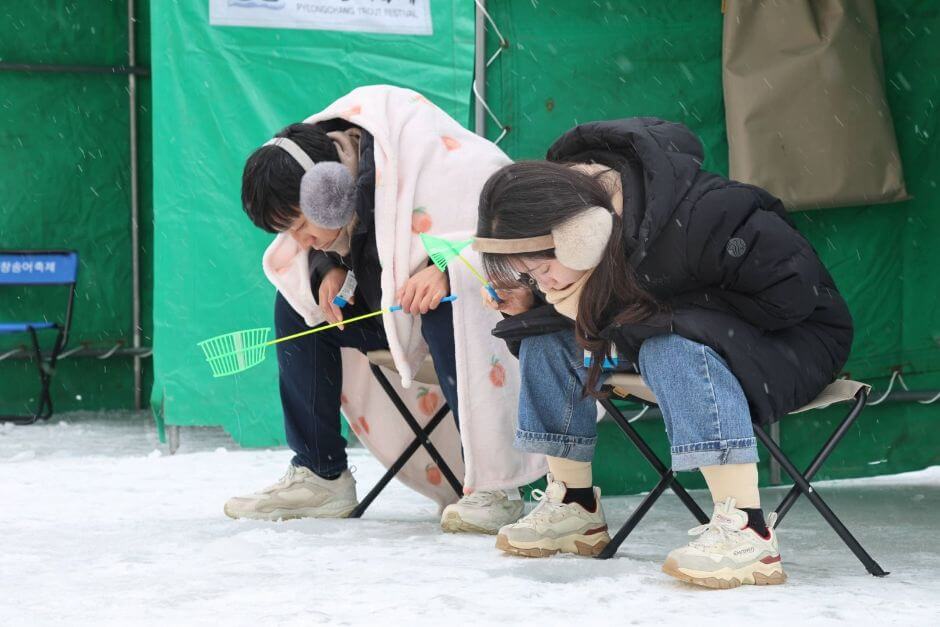 평창송어축제 얼음낚시