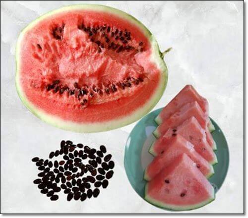 수박씨 효능