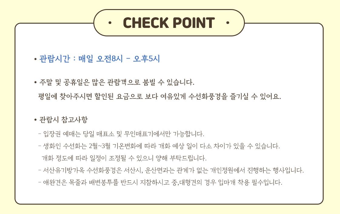 서산 유기방가옥 수선화 축제 기간 개화 총정리