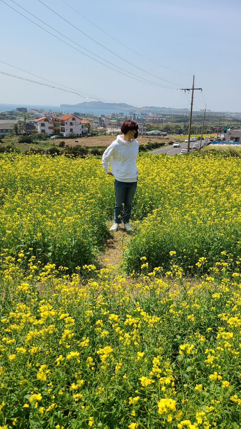 3월 봄꽃 축제 하는곳 봄꽃 여행지