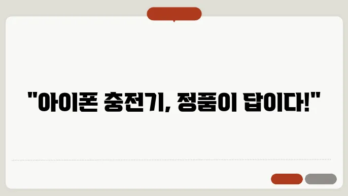 아이폰 충전기 정품 추천
