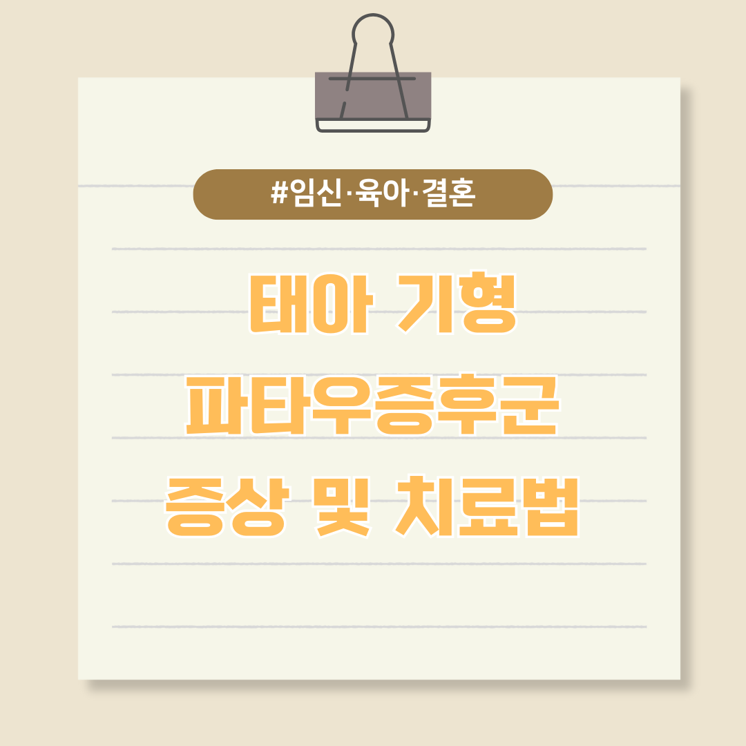 임신 12주 초음파 검사에서 발견되는 태아 기형, 파타우증후군 증상 및 치료법