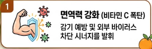 오렌지 효능