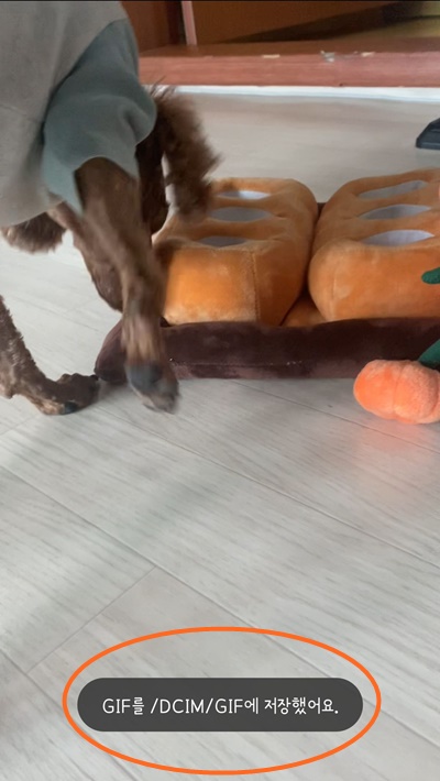 갤럭시gif저장
