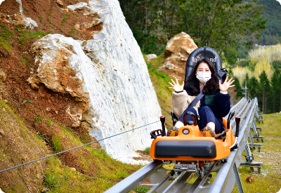 2025 강원도 동해 아이와 함께 가볼만한곳, 무릉별유천지, 라벤더 축제 총정리