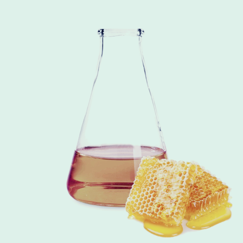 프로폴리스 효능