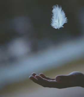 한화생명 e시그니처 암보험 보장내용 총정리 (무배당 비갱신 암보험금)