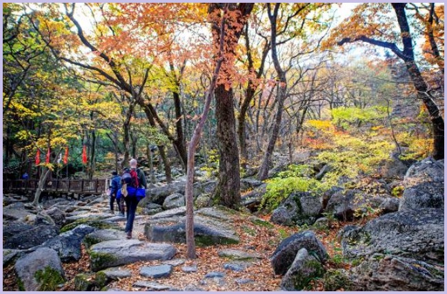 부산 금정산 국립공원 지정