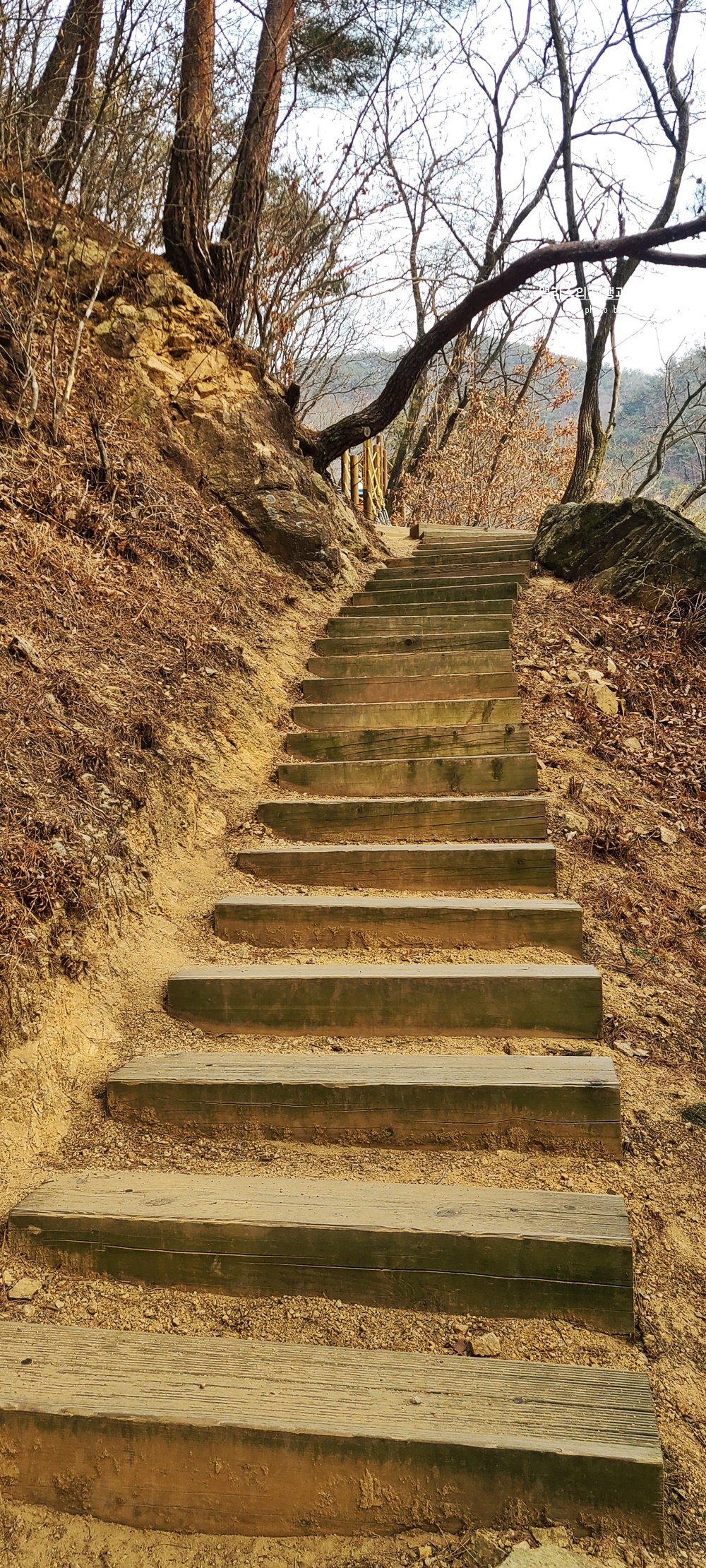 거창 Y 자형 출렁다리 (입장권 현장구매가능) 경남 가볼만한곳