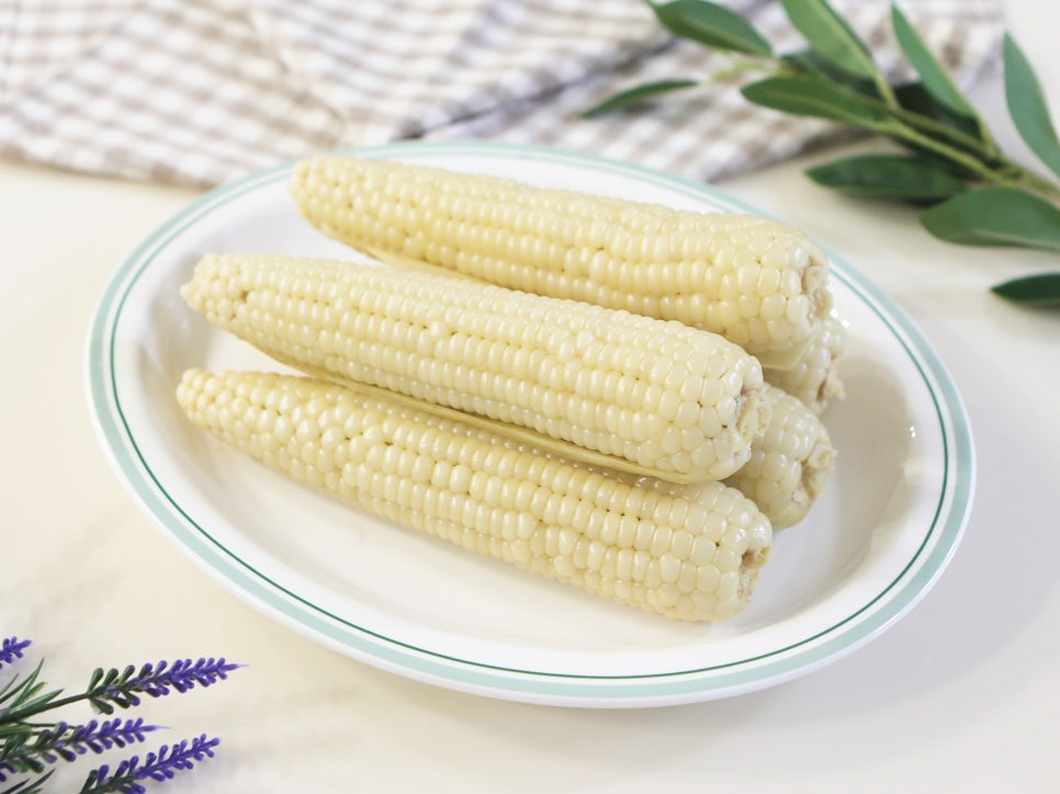 옥수수 삶는법