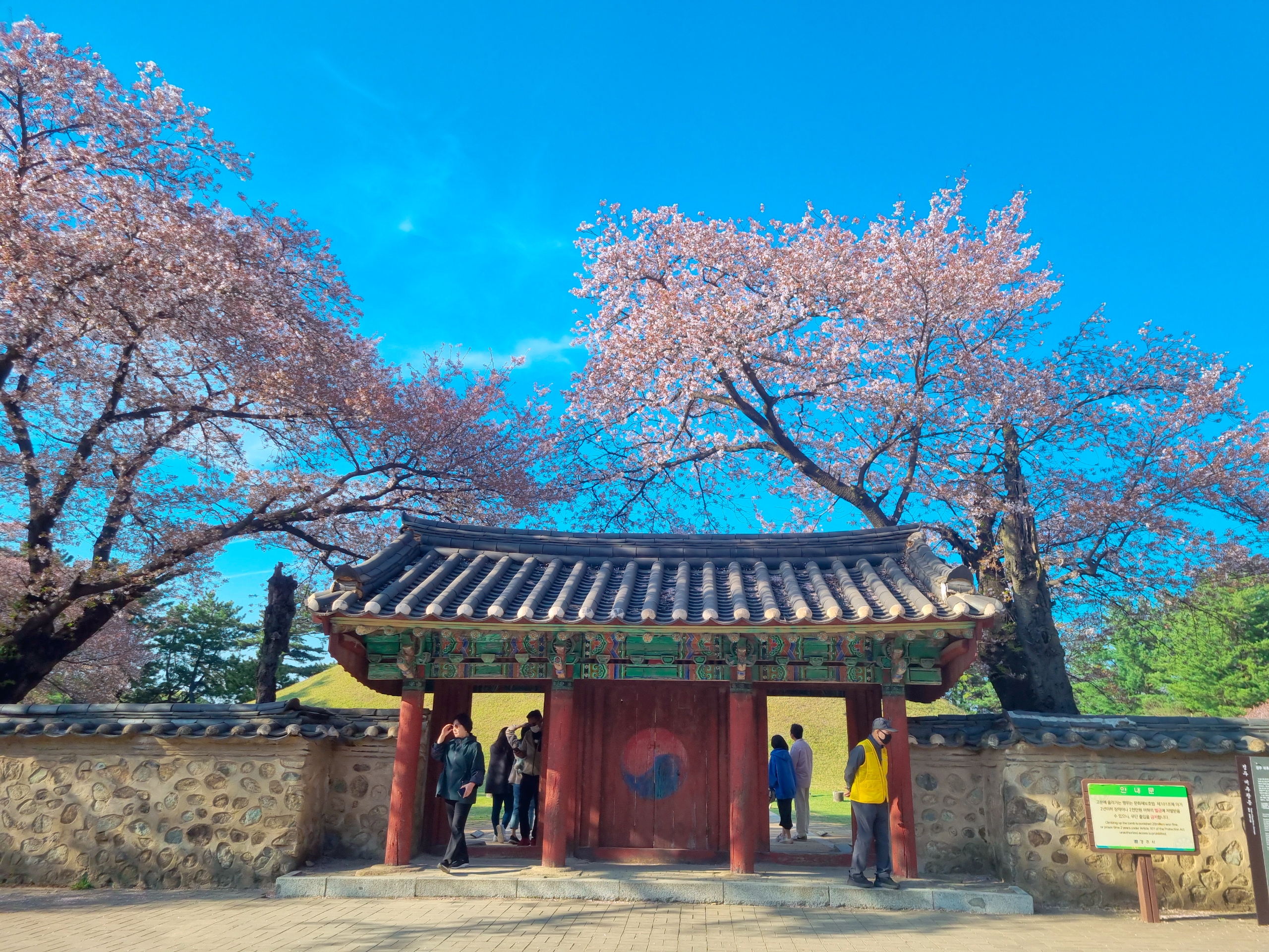 경주 대릉원