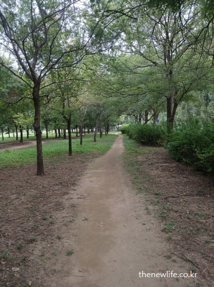 광나루 한강공원의 맨발 걷기 좋은 장소 &ndash; 나무 사이로 길게 이어진 서울 맨발 걷기 좋은 흙길