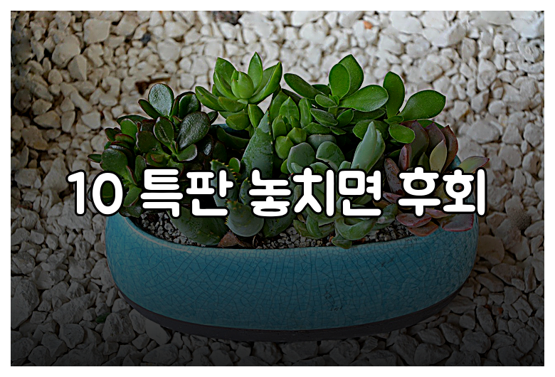 10 특판 놓치면 후회