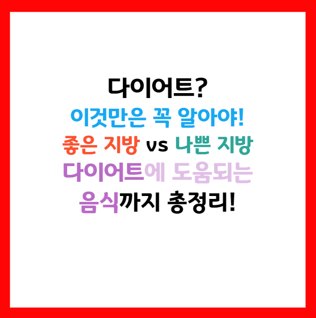 포화지방 다이어트