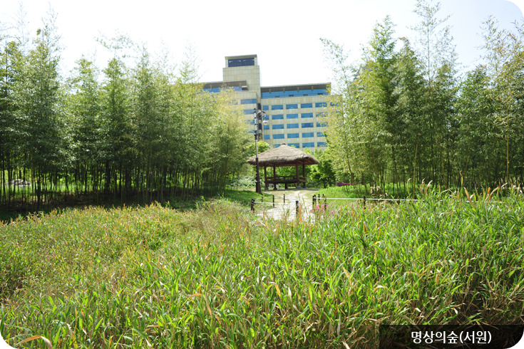 한밭수목원 명상의숲(서원)이미지/출처: 한밭수목원 홈페이지