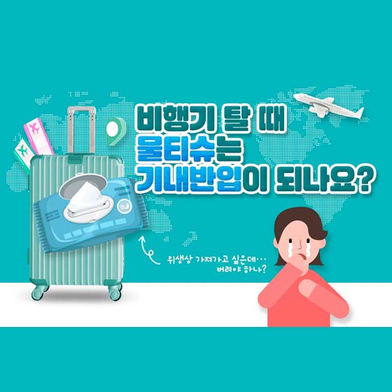 비행기 탈 때 물티슈 기내반입