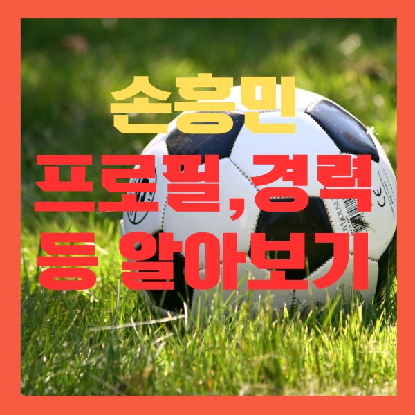 손흥민 프로필