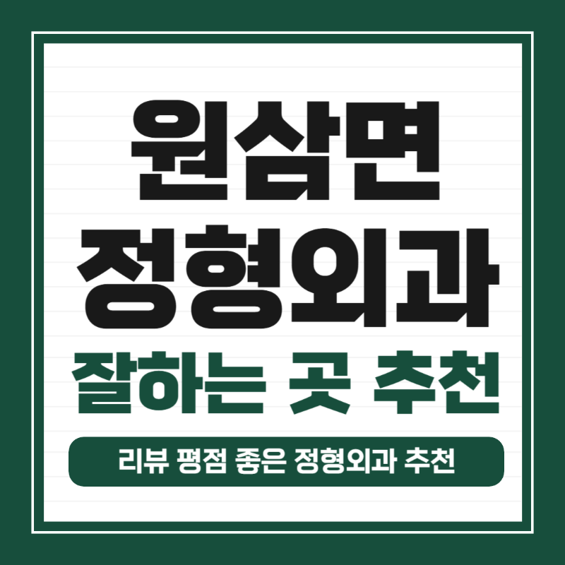 용인시 처인구 원삼면 정형외과 유명하고 잘하는 곳 추천 TOP 5