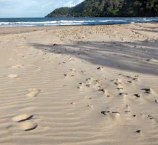 나이브하다 사용 시 주의할 점