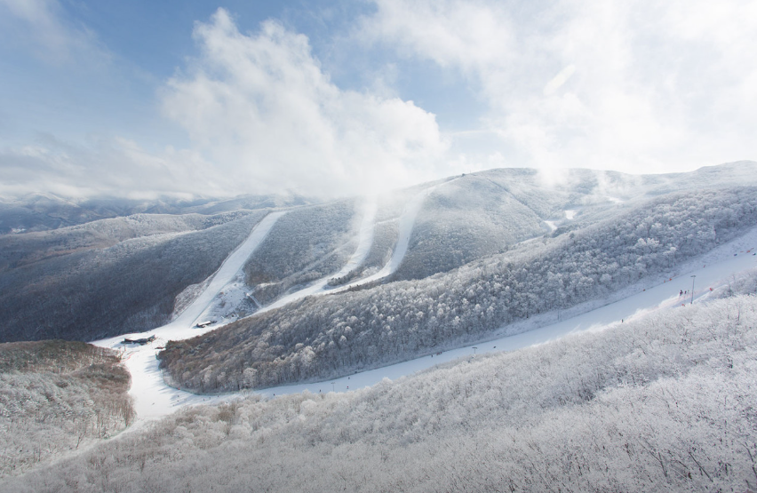 하이원 스키장1