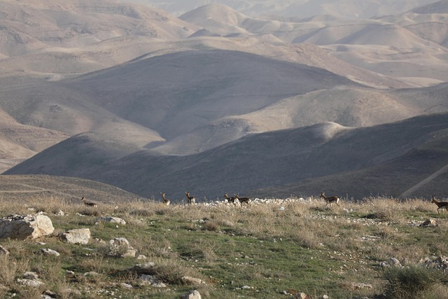 2025 연천 구석기 축제 총정리(체험, 주차, 공연)