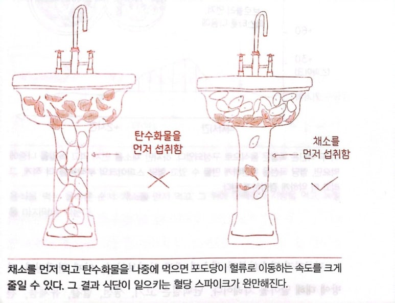 혈당 스파이크 잡는 과학적인 식사법 글루코스 혁명