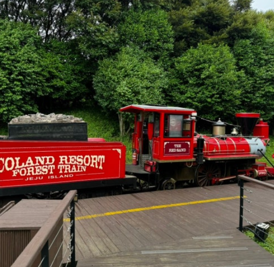 제주 에코랜드기차