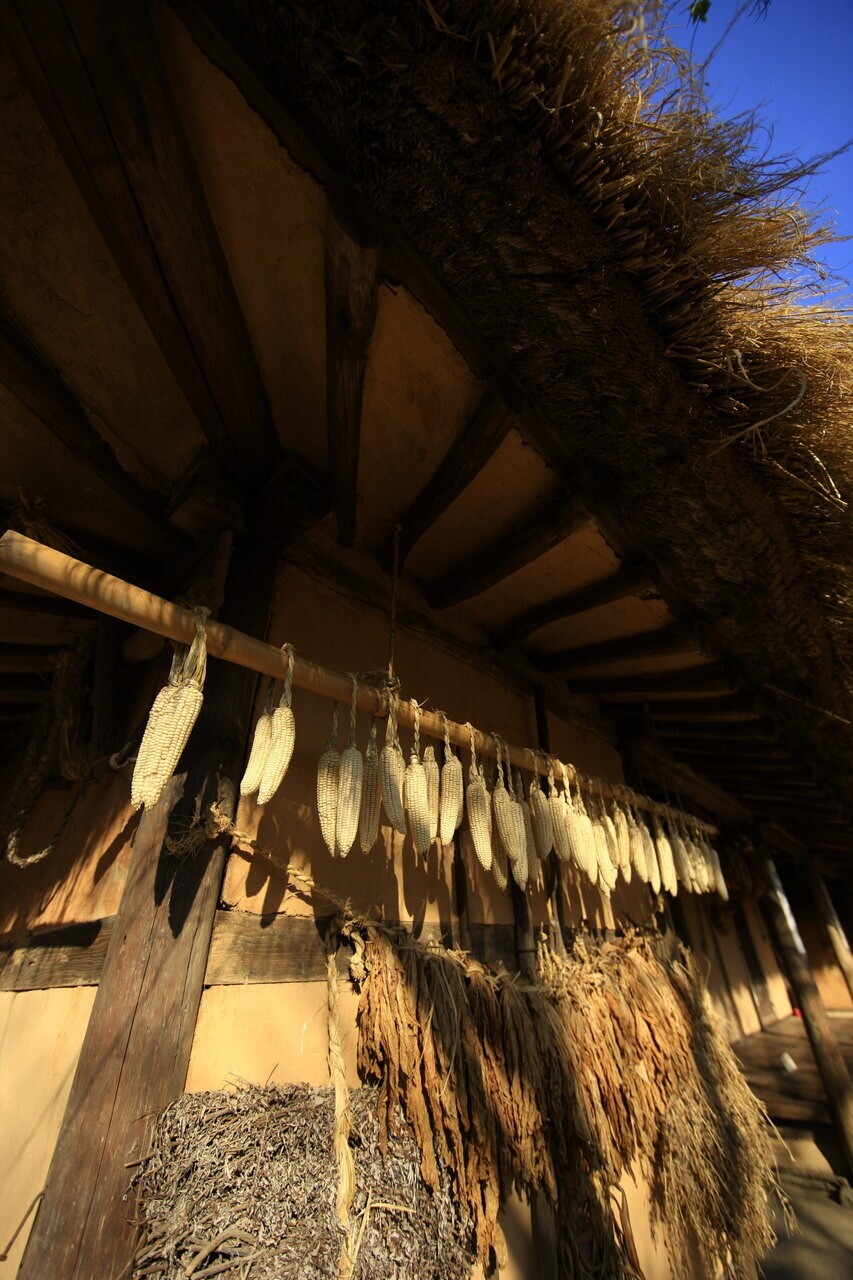 한국민속촌 입장료 할인