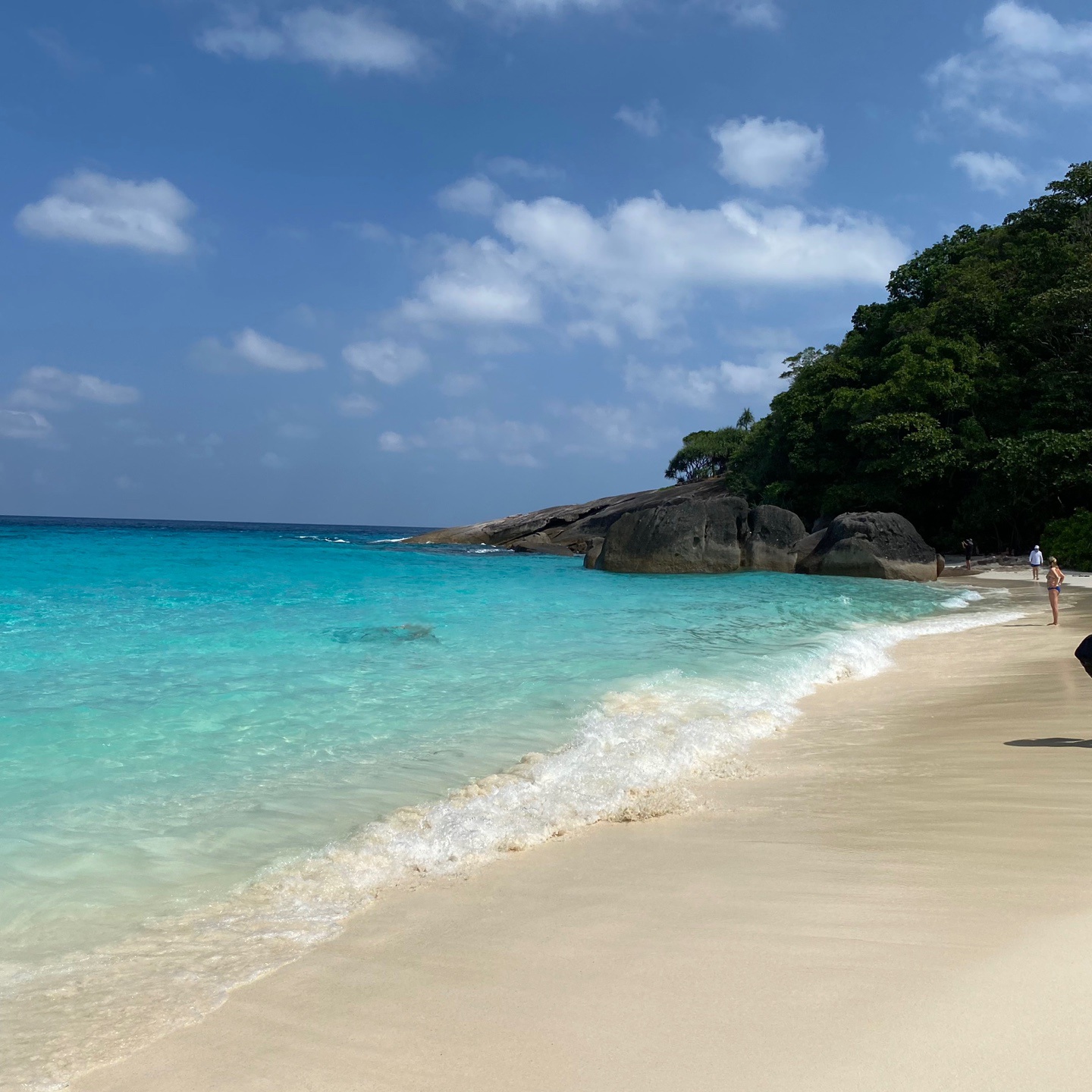 프린세스베이-푸켓