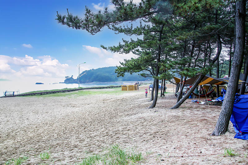 충남 태안 석갱이오토캠핑장 소개