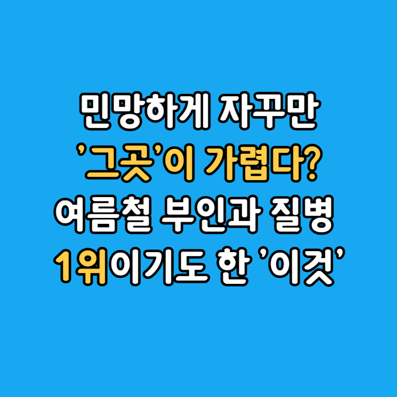 질염섬네일