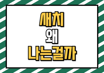 새치 나는 이유