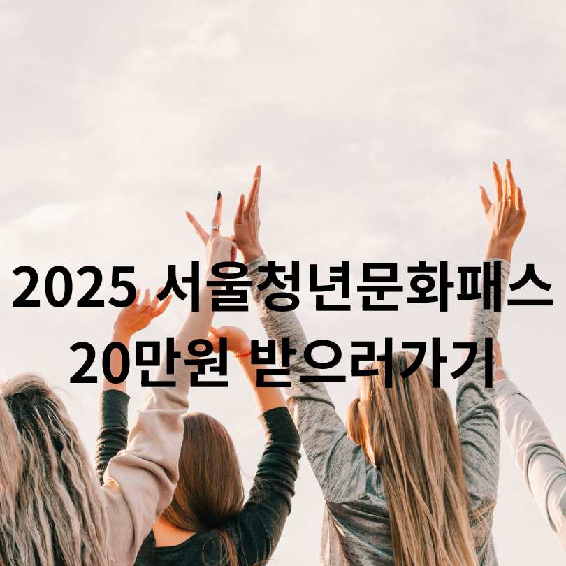 2025 서울청년문화패스 2차모집