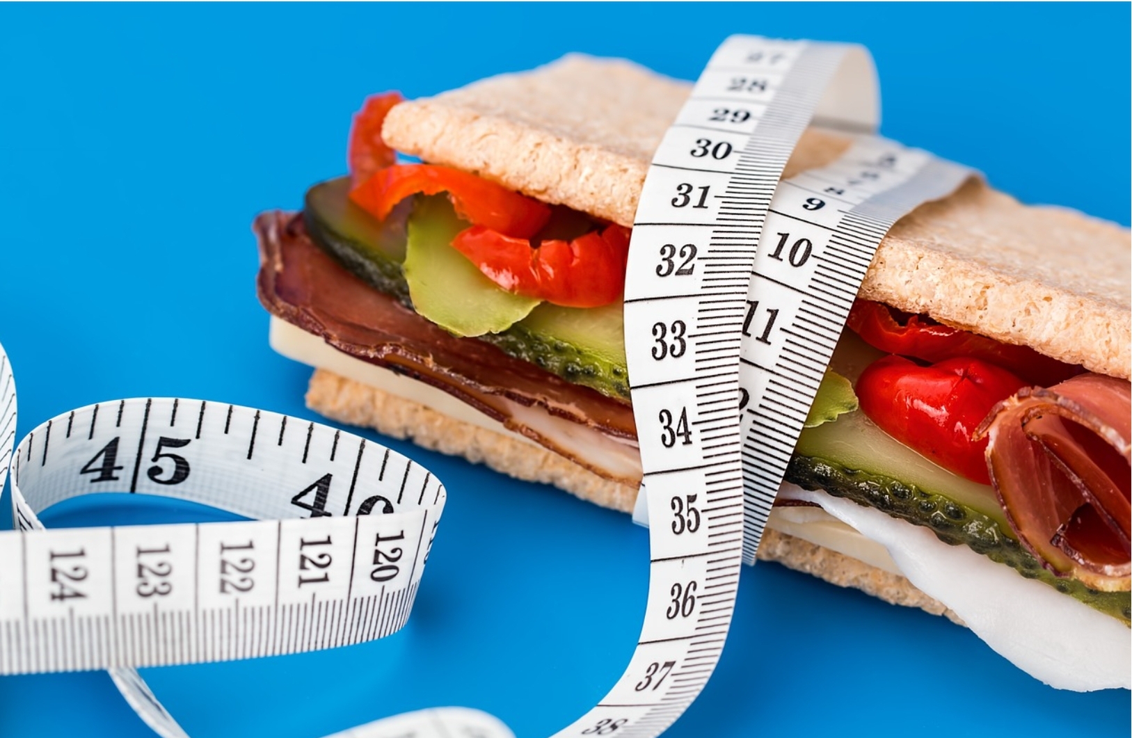 다이어트 식단의 기본 원칙: 탄단지 균형 맞추기