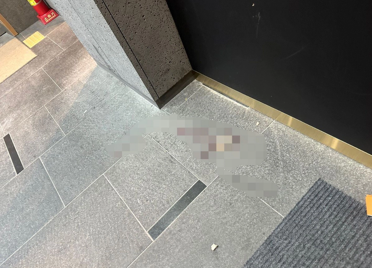 배현진 의원 피습 상황 및 피의자