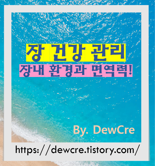 현대인을 위한 장 건강 관리와 장내 환경 개선법