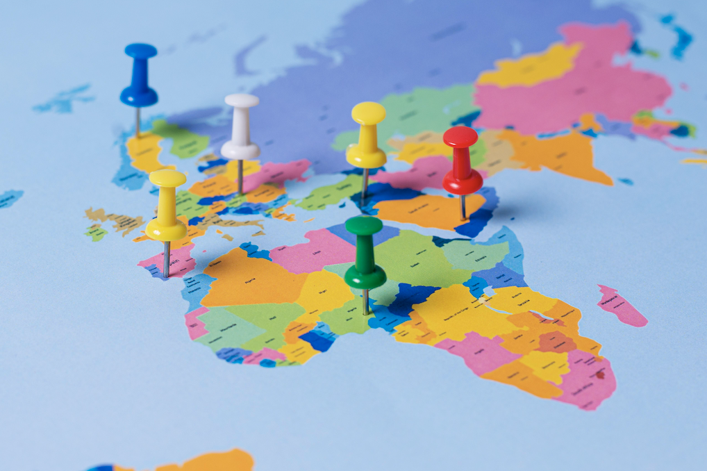 해외 시장 진출 성공 사례