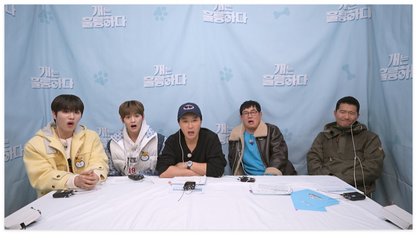 개는 훌륭하다 입질 강아지 짜리 강형욱 훈련사