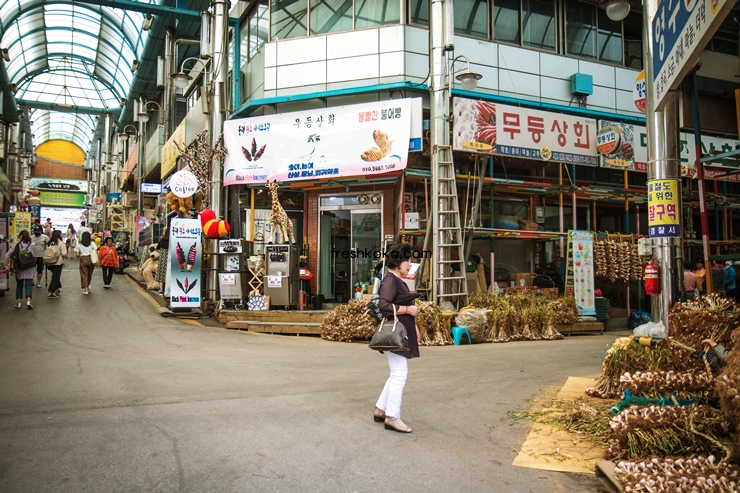 단양 가볼만한곳