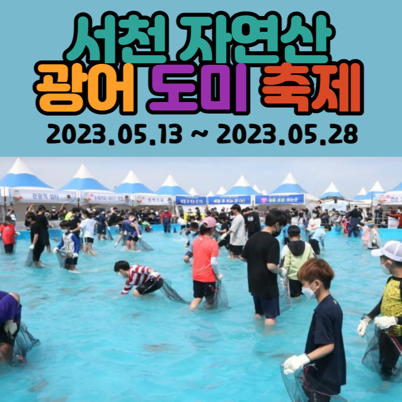 광어효능 도미효능 서천 자연산 광어 도미 축제