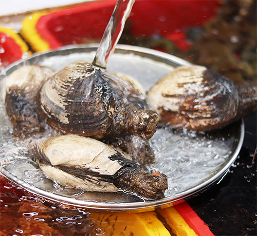 부산자갈치시장3