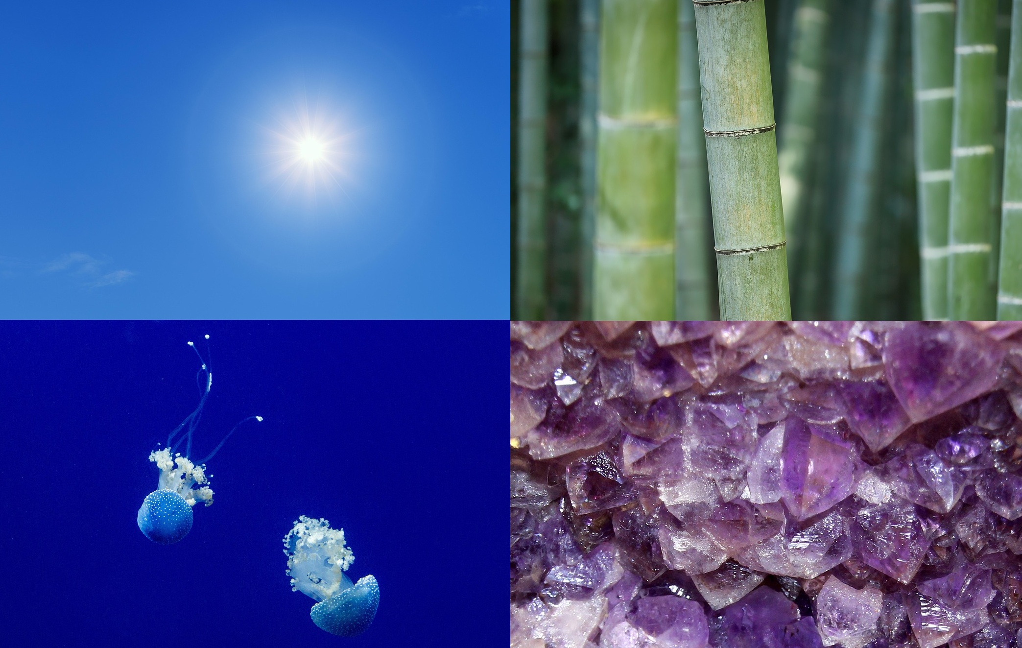 초록색, 파란색, 네이비색, 보라색을 상징하는 이미지